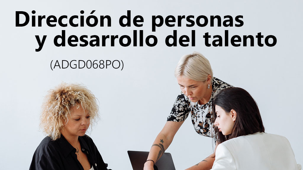 Curso de Dirección personas y desarrollo talento(ADGD068PO)