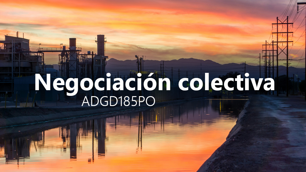 Curso de Negociación colectiva (ADGD185PO)