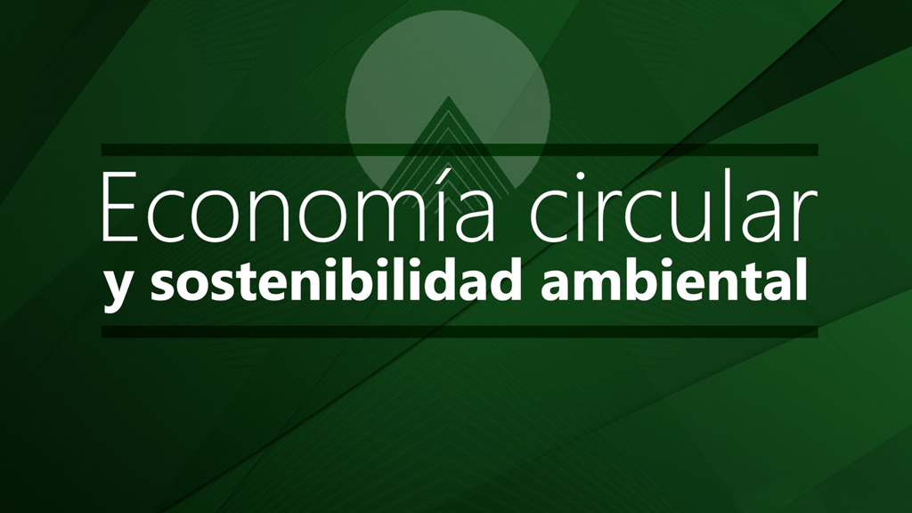 Curso de Economía circular y sostenibilidad ambiental