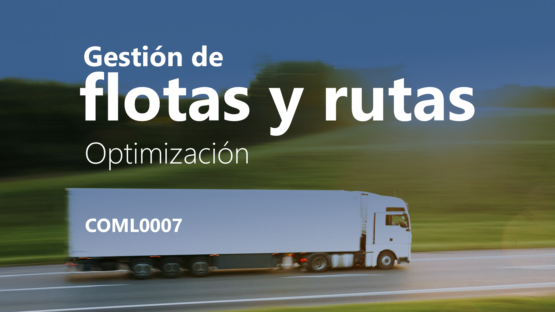 Curso de Gesti&oacute;n de flotas y rutas: optimizaci&oacute;n (COML0007)