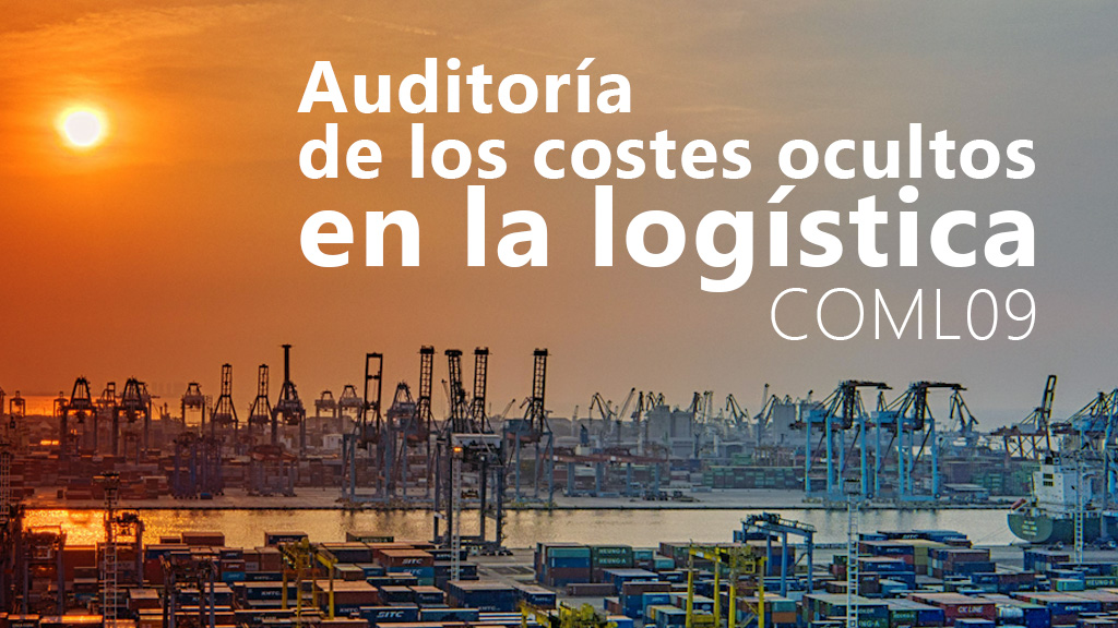 Curso de Auditor&iacute;a costes ocultos log&iacute;stica (COML09)