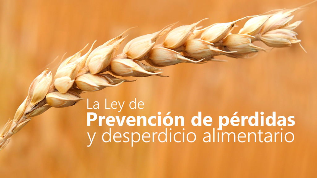 Curso de Prevención de pérdidas y desperdicio alimentario
