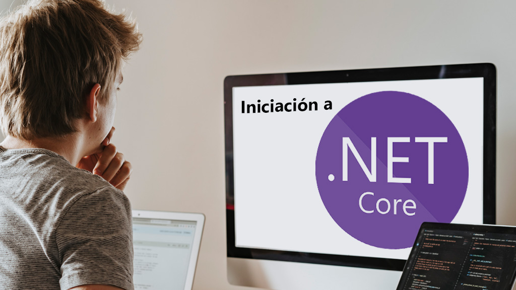 Curso de Iniciación a la programación en .NET Core