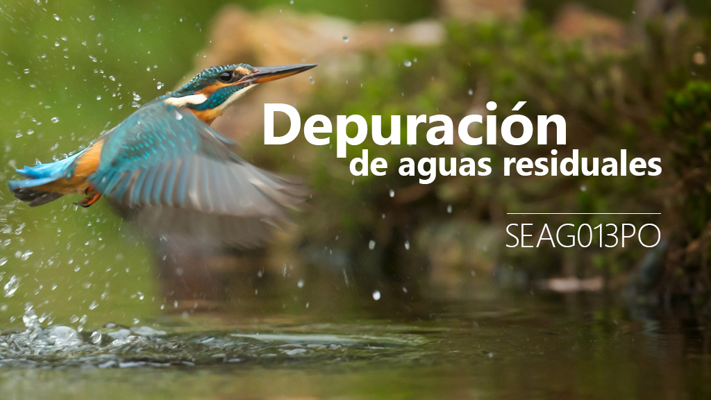 Curso de Depuraci&oacute;n de aguas residuales (SEAG013PO)